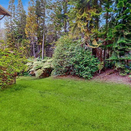 Hale Hapu'U Villa Volcano Exterior photo